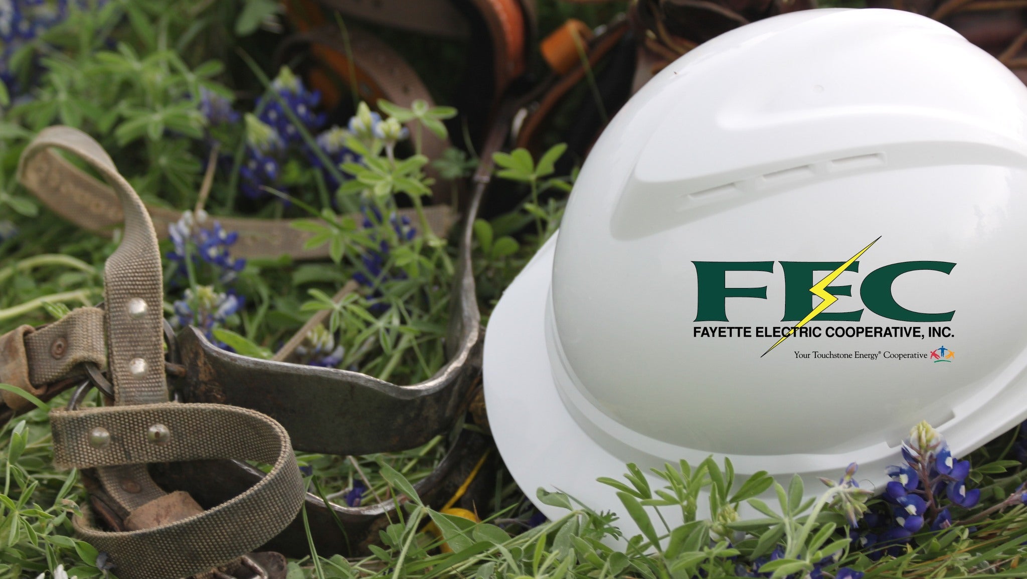hard hat