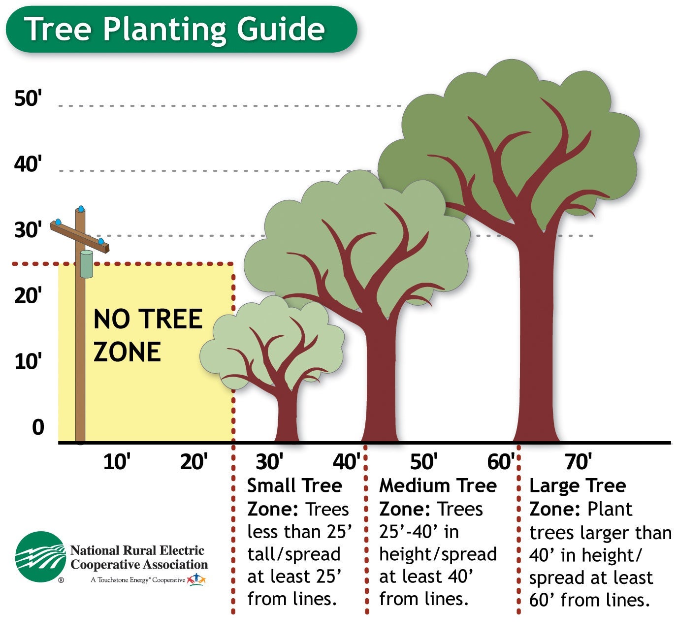 tree trimming guidelines