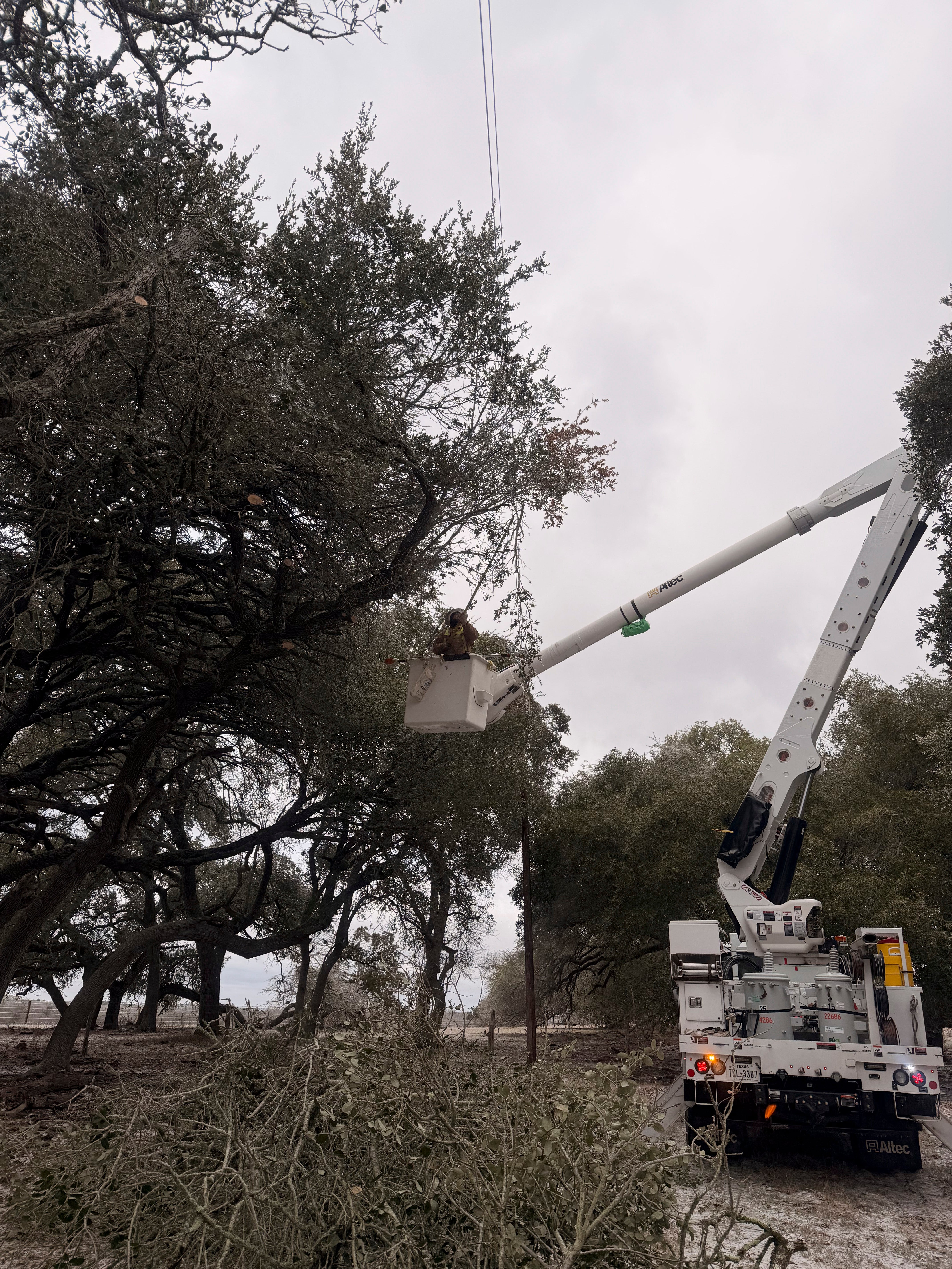 FEC Lineman Aaron Tonn trims a frozen branch away from a power line, helping restore service and prevent additional outages during last weekend’s winter weather.