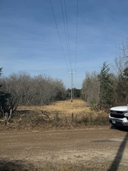 Strengthening Reliability Through Vegetation Management and Right-of-Way Maintenance