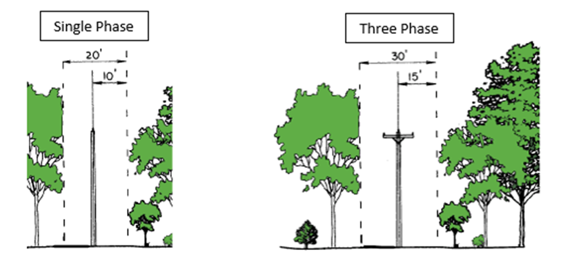 Tree trimming clearance for single phase and three phase