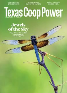 2025 April Texas Co-op Power Magazine