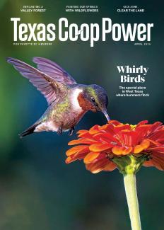 2026 April Texas Co-op Power Magazine