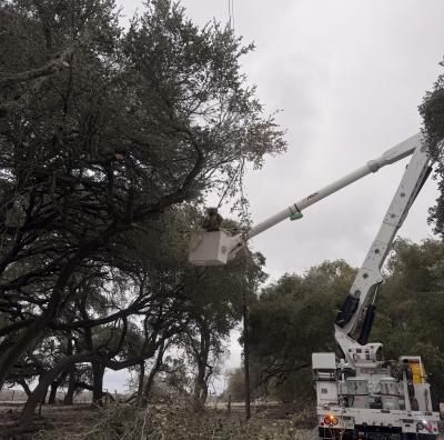 FEC Lineman Aaron Tonn trims a frozen branch away from a power line, helping restore service and prevent additional outages during last weekend’s winter weather.