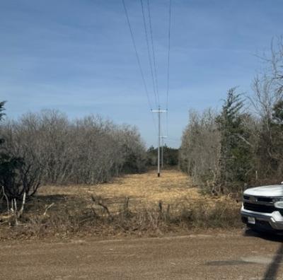 Strengthening Reliability Through Vegetation Management and Right-of-Way Maintenance