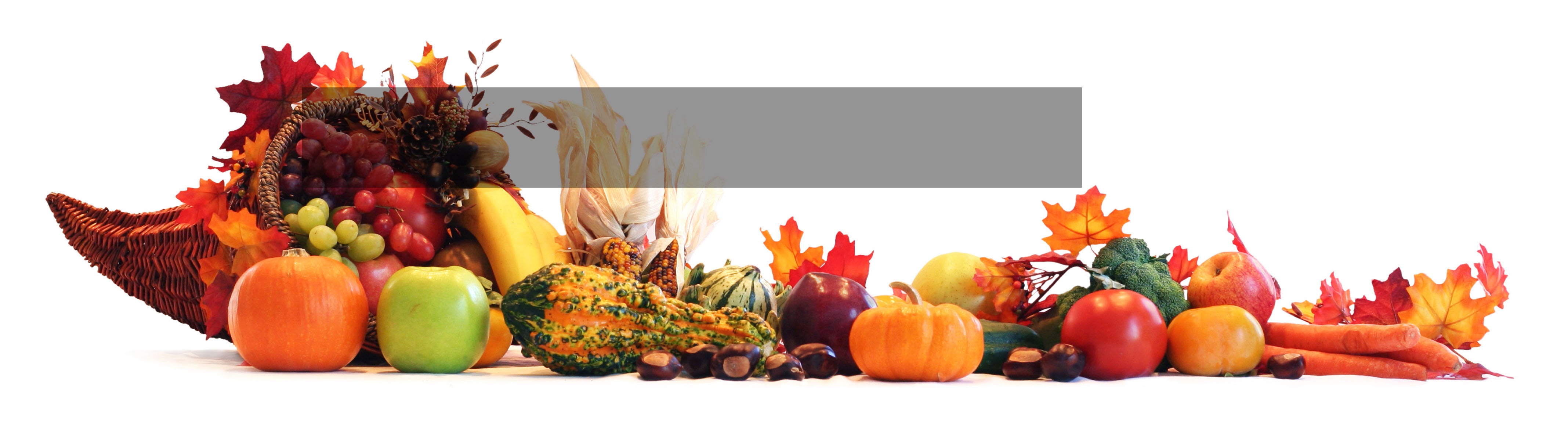 Closed for Thanksgiving Our office will be closed November 22-23, 2018