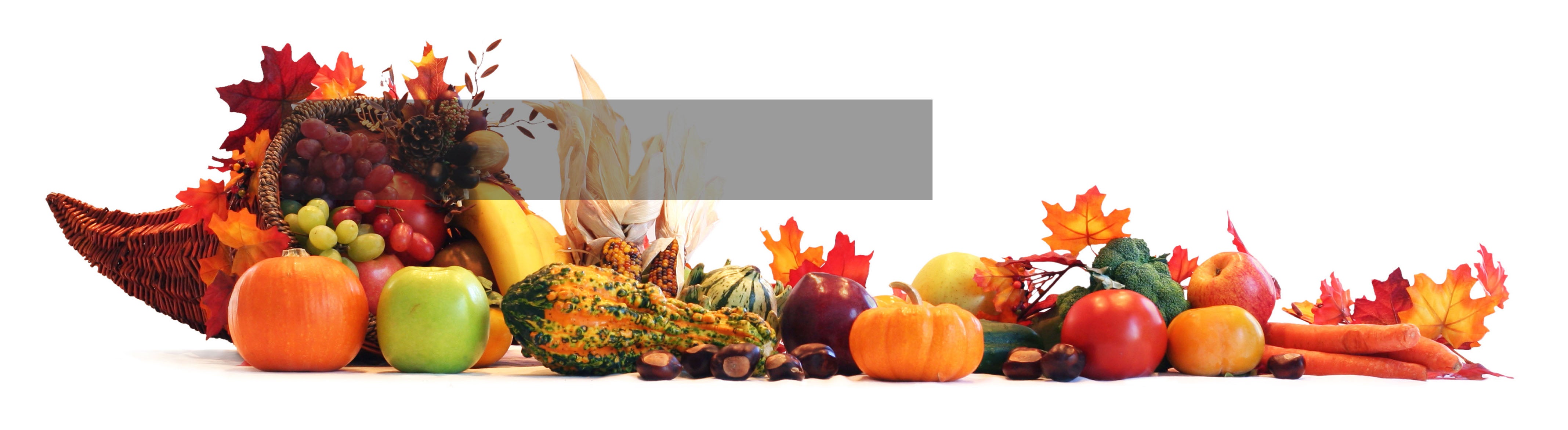 Closed for Thanksgiving Our office will be closed November 28 & 29 in celebration of the Thanksgiving holidays